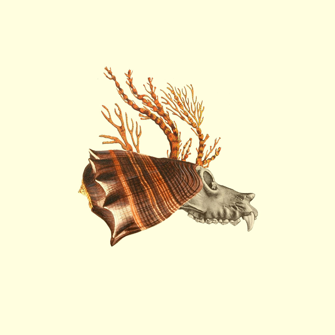 Collage 002
