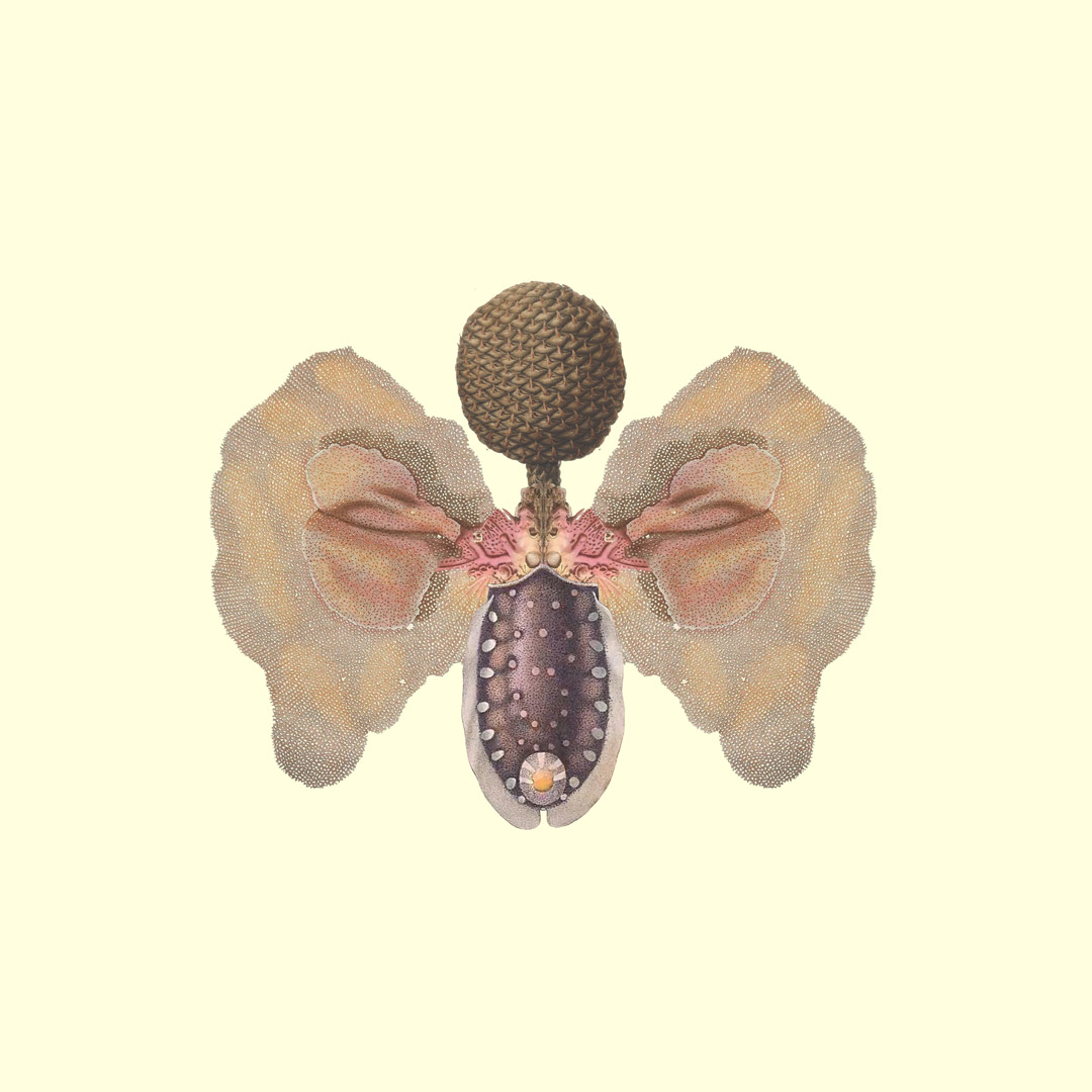 Collage 004