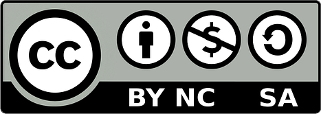 Licenza: by nc sa 4.0